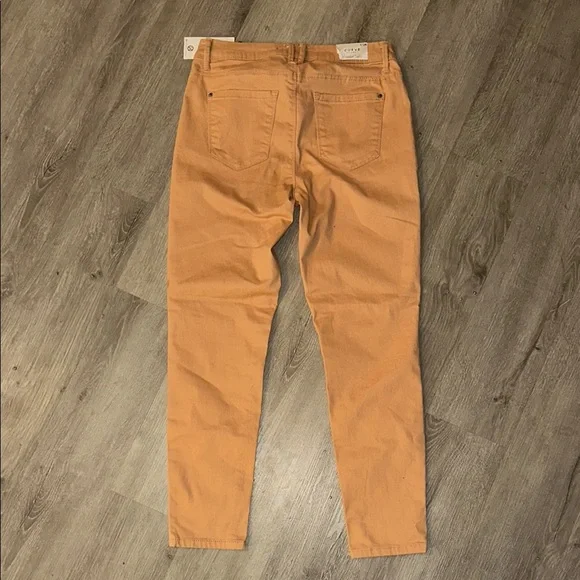 Curve Peach Skinny Pants - Picture 5 of 6